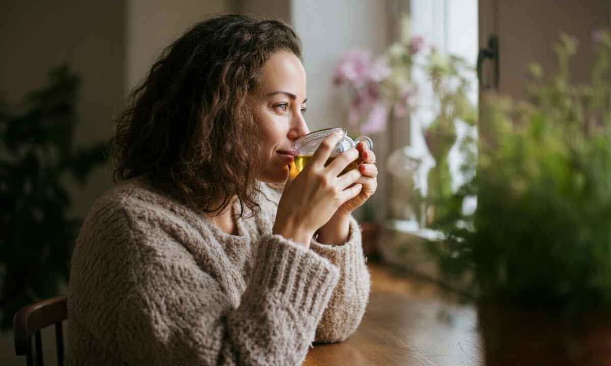 le proprietà del gimgko biloba