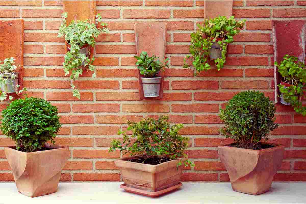 così cambi i muri in giardini verticali