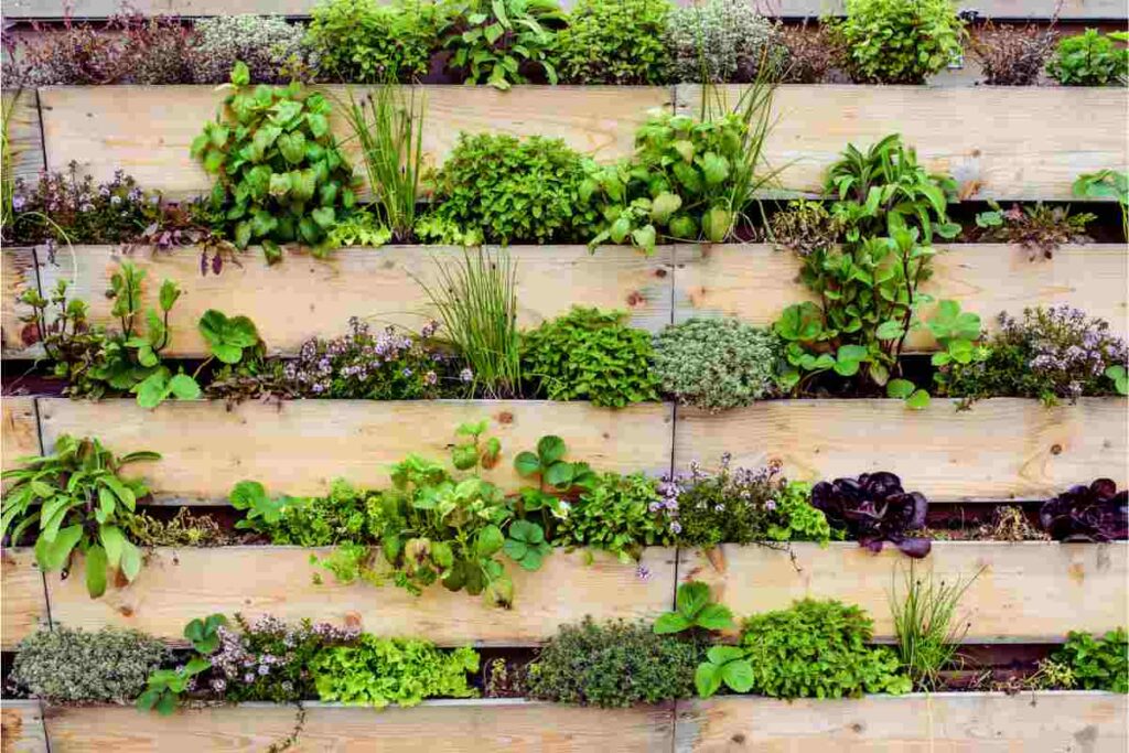 così cambi i muri in giardini verticali