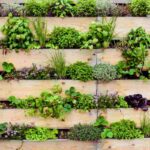 così cambi i muri in giardini verticali