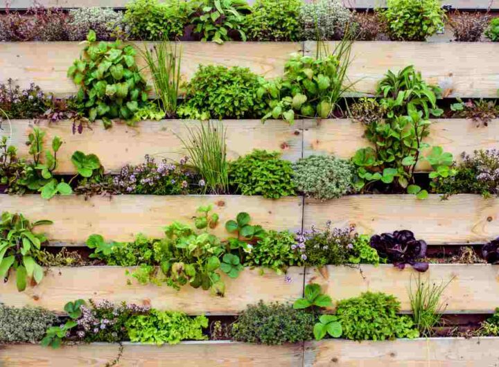 così cambi i muri in giardini verticali